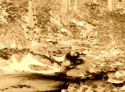 Sepia + Negatyw