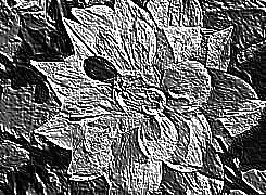 Skamielina