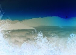 Negatyw