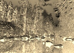 Sepia + Negatyw