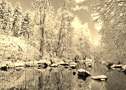 Szary + Sepia