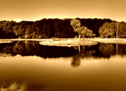 Sepia