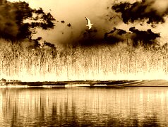 Sepia + Negatyw