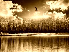 Sepia