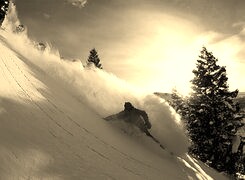 Szary + Sepia