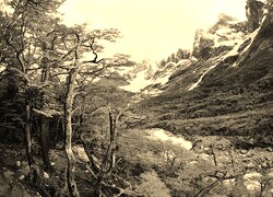 Szary + Sepia