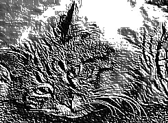 Skamielina