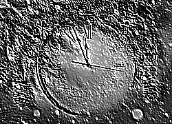 Skamielina