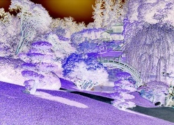 Negatyw