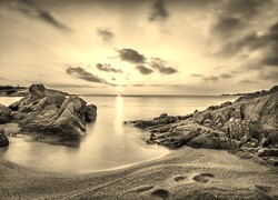 Szary + Sepia