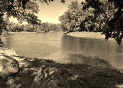 Sepia