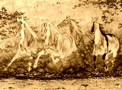 Sepia + Negatyw