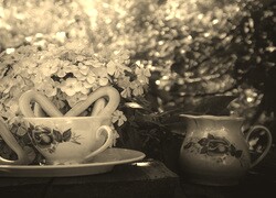 Szary + Sepia