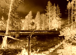 Sepia + Negatyw