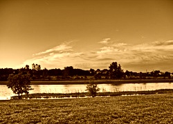 Sepia