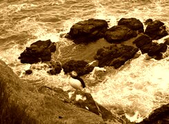 Sepia