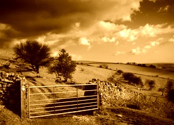Sepia