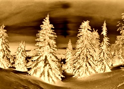 Sepia + Negatyw
