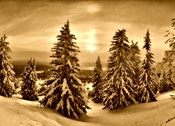 Sepia