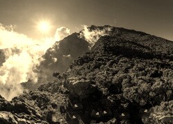 Sepia