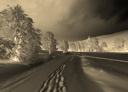 Sepia + Negatyw