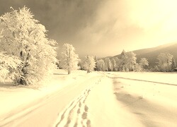 Szary + Sepia