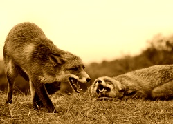 Sepia