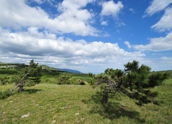 Oryginalny obrazek