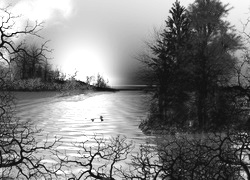 Szary + Sepia