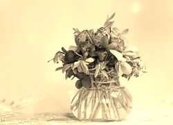 Szary + Sepia