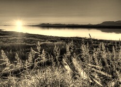 Szary + Sepia