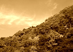 Sepia
