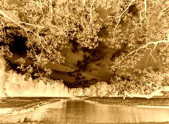 Sepia + Negatyw