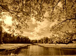 Sepia