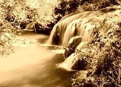 Sepia