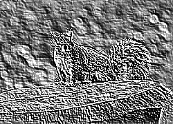 Skamielina
