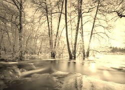 Szary + Sepia