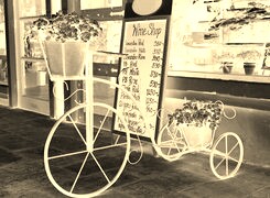 Sepia + Negatyw