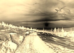 Sepia + Negatyw