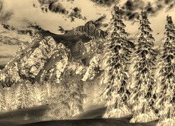 Sepia + Negatyw