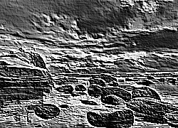 Skamielina