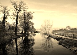 Szary + Sepia