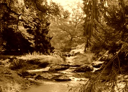Sepia