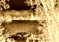 Sepia + Negatyw