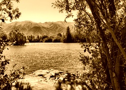 Sepia