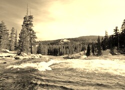 Szary + Sepia