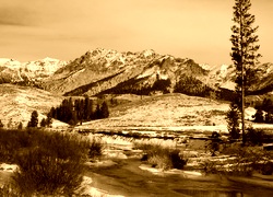 Sepia