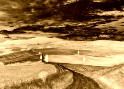 Sepia + Negatyw