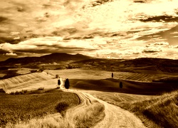 Sepia