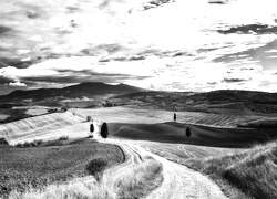 Szary + Sepia